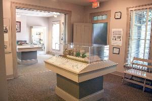 View of Dean House exhibit showing cases and carpet.