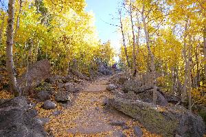 A hiker ascends a trail surrounded by aspen trees with gold leaves.