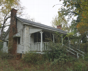photo of Wallis House partially obscured by overgrown vegetation