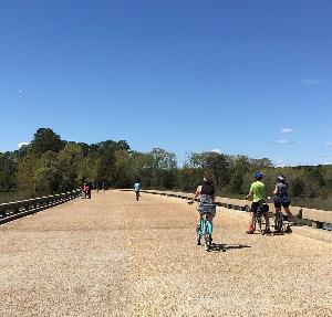 Bicyclists enjoying the broad expanse of the Colonial Parkway near Jamestown Island.