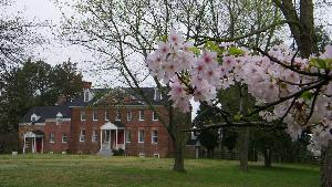Spring at Harmony Hall