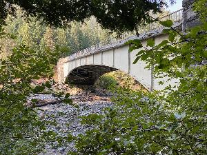View of Fryingpan Creek Bridge as viewed from the creek bank and looking up towards the arch of the bridge and surrounding vegetation.