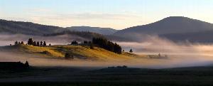 Mist encircles the forested domes and grassland valleys of the Valles Caldera landscape.