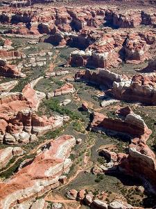 Horse Canyon in the Needles District of Canyonlands National Park viewed from above. Photo shows red and white -striped canyon walls and wide canyon bottoms dotted with shrubs and trees.