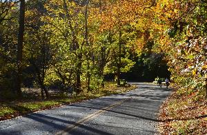 Beach Drive in Rock Creek Park