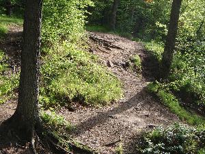 Eroded social trails at Fairy Falls Day Use Area