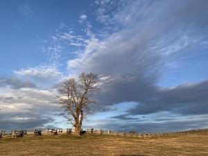 Antietam National Battlefield - Sunken Road