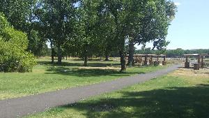 Paved trail cutting through area covered with picnic tables, surrounded by green leafy trees and grass.