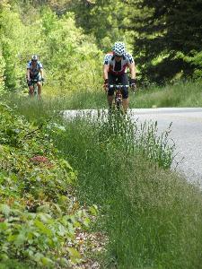 Photograph of Bicycle Riders on Blue Ridge Parkway riding past tall grass on road shoulder.