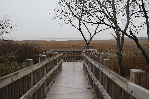 Photo of the accessible bird-viewing platform near the West Pond Visitor Center, looking out over Jamaica Bay on a winter day, with an osprey nest visible across a saltmarsh.