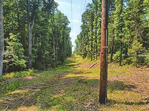 Power Poles at Chancellorsville Battlefield