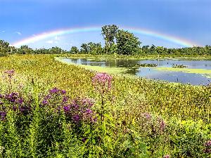 Photograph of the Great Marsh after a rain with a full rainbow in the sky.