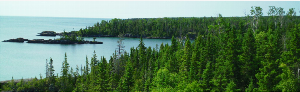 Picture of Isle Royale wilderness and the shoreline.