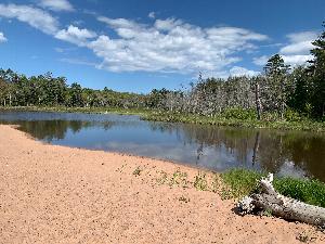 The picture shows the Little Sand Bay lagoon and wetland.  Views of this wetland would be available from the Maakwa Boardwalk, if funded.  This coastal lagoon/wetland/sandscape complex is connected to Lake Superior.