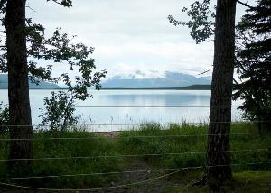 Photo looking through trees from the Brooks Camp Campground toward Naknek Lake and Mount Katolinat