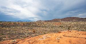 Desert view under an unsettled cloudy sky.  Rounded desert hills of red-orange rock scattered on a landscape of red-orange soils with ancient cinder deposits.  Shrubby gray-green vegetation is scattered throughout. Blue mountain peaks are visible in the distance.