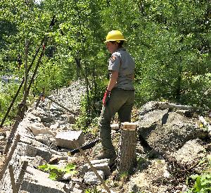 Photo of female trail crew worker wearing a NPS uniform and yellow hardhat standing along a rocky hiking trail under construction surrounded by green, leafy vegetation in bright sunlight.