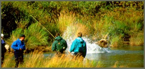 Four men are fishing along a riverbank and watching a brown bear fish close by. The river is surrounded by dense green and yellow vegetation. The mean are wearing various blue and green jackets and are facing away from the viewer. The man in the center is holding a fishing rod. The brown bear is focused on fishing and creating white splashes in the water.