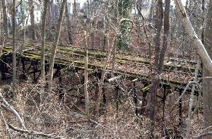 A raised trolley trestle in a wooded area.