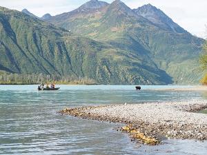 Brown bears on the beach with visitors bear-viewing from a boat at Crescent Lake, Lake Clark National Park, Alaska.