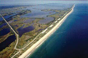 Canaveral National Seashore image of land and ocean