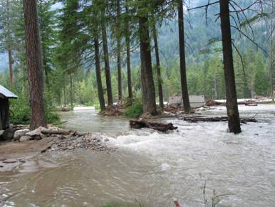 Upper Company Creek Road during spring 2007 snowmelt (9,600 cfs).  The road now floods when river flows exceed 8000 cfs.