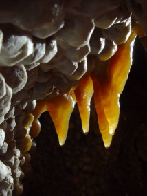 Small draperies on calcite crystals: the "jewels" of Jewel Cave.  Photo by Art Palmer.