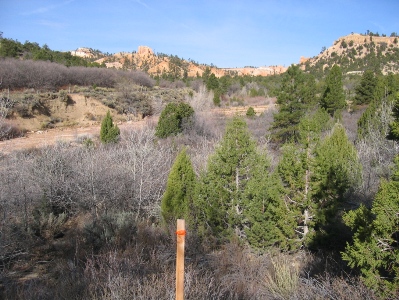 A portion of the proposed right-of-way for a buried irrigation pipeline in Bryce Canyon National Park.