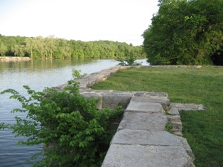 Trees growing on Dam#5's historic masonry wall.