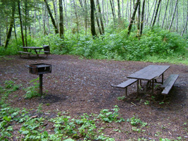 Photo of current Picnic Area