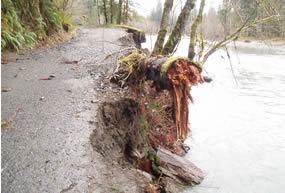 Damage to roadway shown at mile post 4 on the Graves Creek Road
