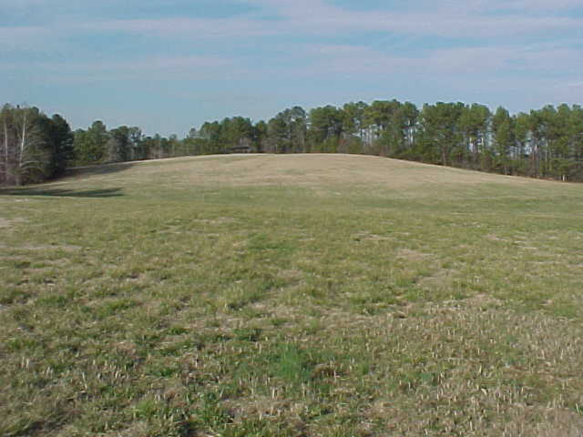 View of the Battlefield associated with the Battle of Horseshoe Bend, AL (March 27, 1814)