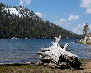 Tenaya Lake