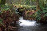 Photo of the existing Griff Creek culvert showing it perched above the stream channel.