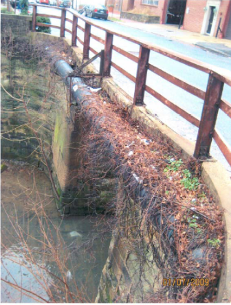 Photograph of vegetation growing on top of historic bridge wall. 