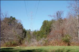 View from the Blue Ridge Parkway Looking North Toward Existing Structure #20.