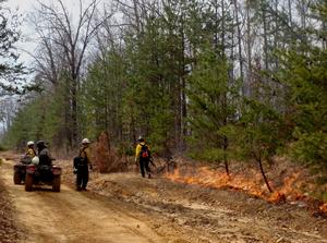 Ingition of a prescribed burn at Big South Fork National River and Recreation Area