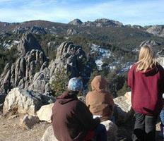 Local students assess the forest health and impacts of the mountain pine beetle at Mount Rushmore National Memorial.