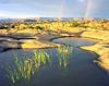 Pothole Trail in Canyonlands National Park