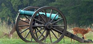 Battlefield cannon with deer at park