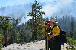 Photo of firefighters monitoring a fire in Yosemite National Park.