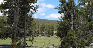 Photo simulation view from Grand Loop Road, looking toward a proposed cellular site and showing an associated tower.