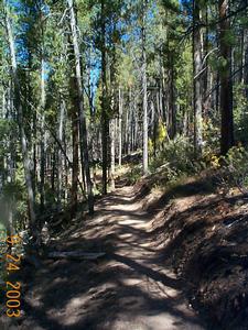 Photo of existing East Shore Trail