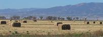 Bales of alfalfa hay are a common site in the Sangre de Cristo National Heritage Area's San Luis Valley, a major agricultural region of Colorado.  The Heritage Area comprises three Colorado counties: Alamosa, Conejos, and Costilla.
