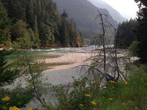 This picture shows the cobble bar proposed for removal at the confluence of Stetattle Creek,and a short, free-flowing section of the Skagit River between the tailrace for Diablo Powerhouse and Diablo Lake (a reservoir).  