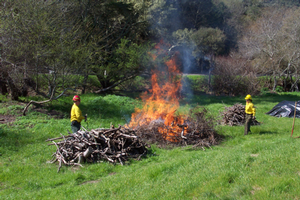 NPS staff burning piles of cut vegetation