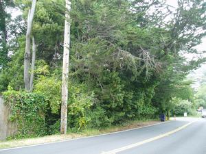 Location of Drainfield:  Corner of Hwy 1 and unnamed road leading towards NPS administrative compound