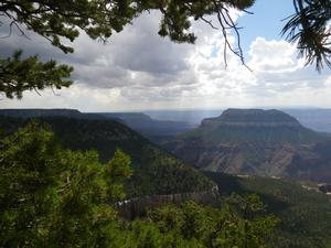 View of Grand Canyon from Powell Plateau 