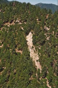 Origin of debris torrent, January 1997