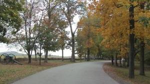 Photo of Confederate Avenue in the vicinity of the North Carolina Memorial